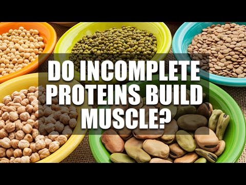 Do Incomplete Proteins Build Muscle & Should You Count Them?