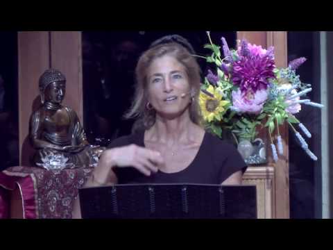 Tara Talks: Habitual Emotion-Thought Loops - Tara Brach