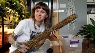 trying diy wire moss poles for the first time and hating every minute of it 😁⛓️🌿