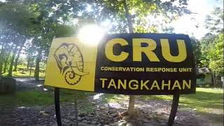 preview picture of video 'Tangkahan paradise Trip Mantul Adventure '