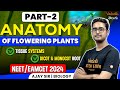 Anatomy of Flowering Plants |Part-2| Tissue System,Root| NEET/EAMCET 2024 | Ajay Sir| Vedantu Telugu