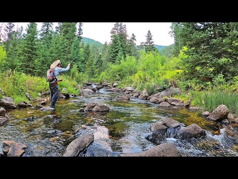 Fly Fishing Tip - How to Approach a Small Stream