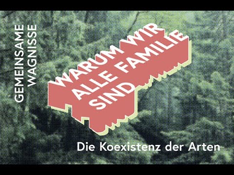 Video-Thumbnail von YouTube