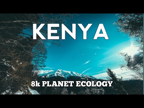 FLYING OVER KENYA (8K UHD)  Beautiful Nature Film.