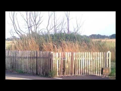 Fear Reads "SCP - 2604"