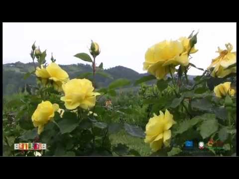 Il nuovo centro didattico al "Giardino delle Erbe"