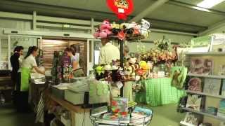 preview picture of video 'Lanchester Garden Centre - A great day out it Durham'