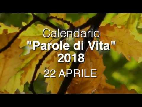 Meditazione del 22 Aprile 2018 “QUALE POSTO DAI A GESÙ?”