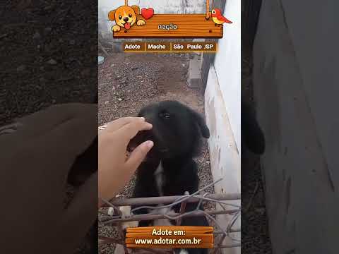 Vídeo de negão