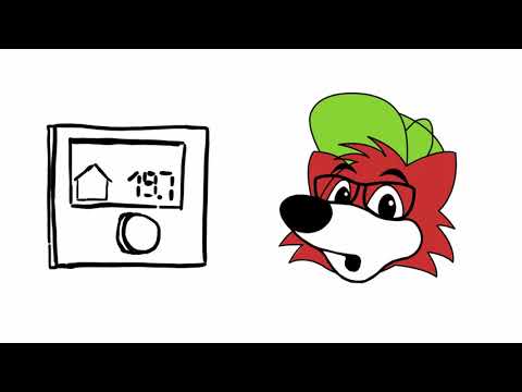 Was macht ein Energiedetektiv?