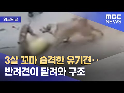 아이콘