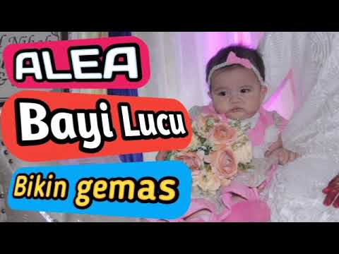 BAYI LUCU DAN BIKIN GEMAS | ALEA DENGAN KEPANDAIANNYA