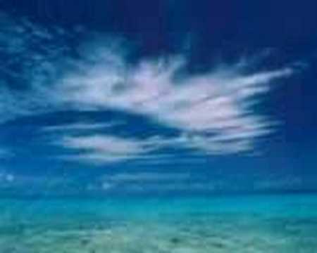 seni seviyorum bircan