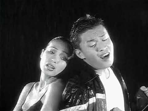 Tình lầm lỡ (Yêu anh là sai lầm của cuộc đời em - Ài shàng nǐ shì wǒ yī shēng de cuò - 愛上你是我一生的錯) HOT - Lam Trường