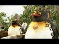Surfs Up Big Z Vs Tank HD