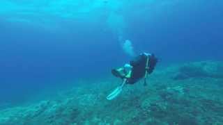 preview picture of video 'Diving sardinia secca di castelsardo'