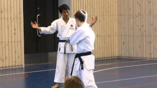 preview picture of video 'Training camp with sensei Kawasoe, Drammen Norway'