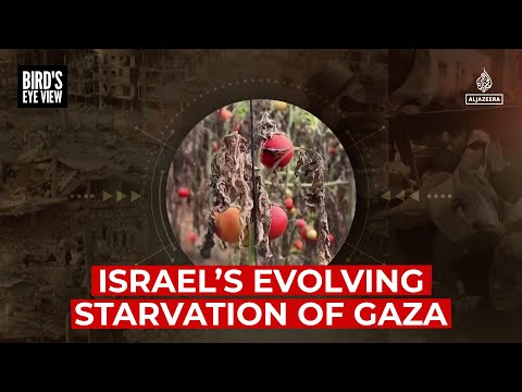 Israel’s evolving starvation of Gaza | Bird's Eye View