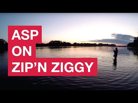 Asp on top water bait - Zip'n Ziggy