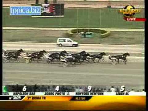 Premio Gaetano Turilli 2012 -Napoleon Bar