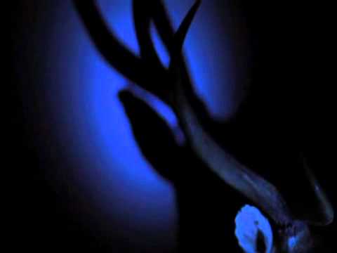 Neptune - Maii and Zeid