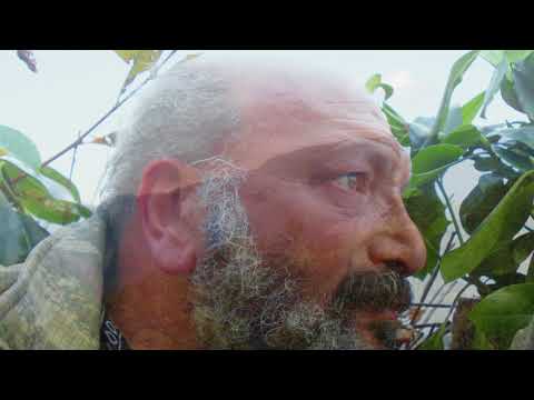 Engin ALPTEKİN - Utanmasam ağlarum