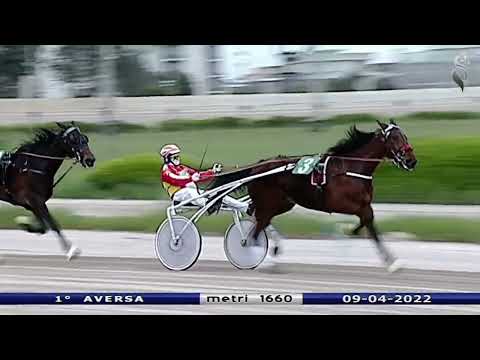 Aversa trotto 9 Aprile 2022 - 1° Corsa