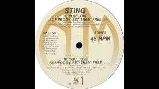 If You Love Somebody Set Them Free (12&quot; Version) - Sting
