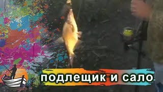 Можно ли ловить леща на сало