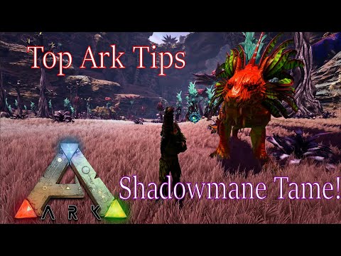 Shadowmane Tame! Ark Tips on Ark Survival Evolved