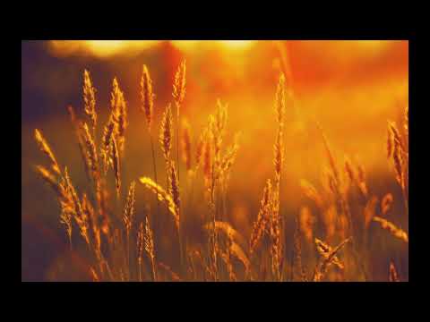 Reflekt Featuring Delline Bass - Need To Feel Loved