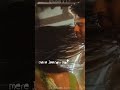 Rashmika And Vijay Whatsapp Status And Instagram Video Verry Loving Video