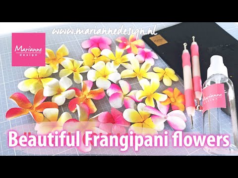 Paper Flower Shaping | How to make Frangipani flowers with the Creatable LR0666 | Marianne Design