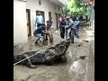 Gigantic Crocodile Sweeps Into Residential Area During Rains In Uttar Pradesh Viralvideo Viral