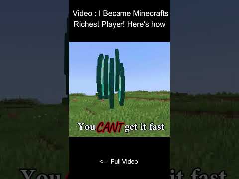 Unbelievable Minecraft Riches in 1DA_Wolf Video!
