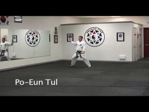 Dragon Star Martial Arts 1st Dan Po-Eun Tul