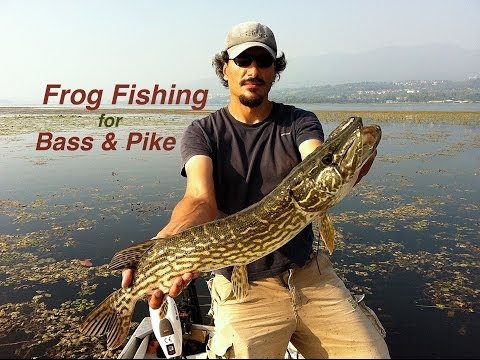 Battuta di pesca sportiva sul lago di Varese