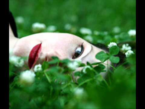 Pavel Holič   Plače diovča