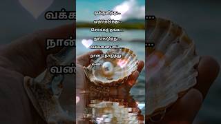 Download lagu 🌹Tamil music #shorts  💕Maanin iru kangal konda Maane song🌹 #love #lyrics #status mp3