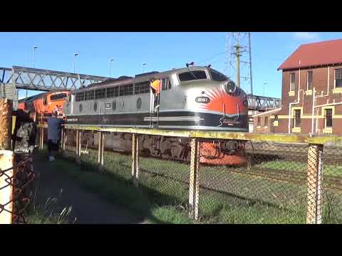 Classic Australian streamliners- B61 CLP10