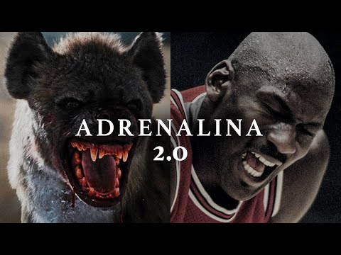 PURE ADRENALINE II – The Best Motivational Speeches