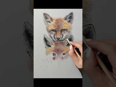 Proces   my pastels 