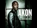 Akon Feat Rick Ross-Give It To Em(Instrumental ...