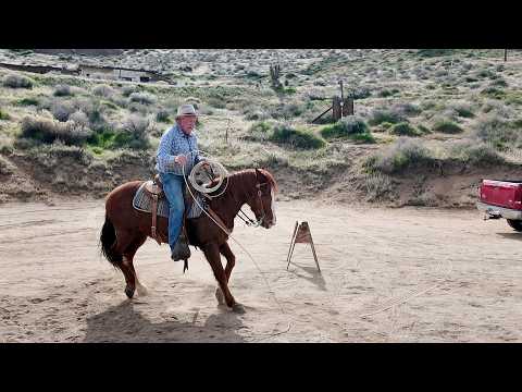 When Fear Becomes a Habit: Red Learns That He Doesn't Need to Be Afraid of a Rope