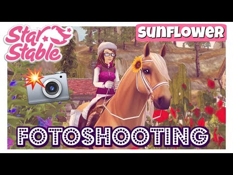 Star Stable [SSO]: Fotoshooting mit Wimpy 📸 | Let's Play #37 [DEUTSCH]