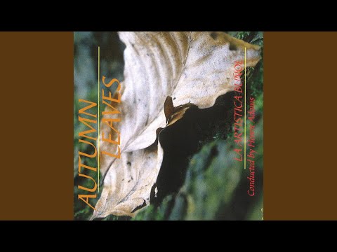 Gloria Estafette (Arr. by Peter Kleine Schaars)