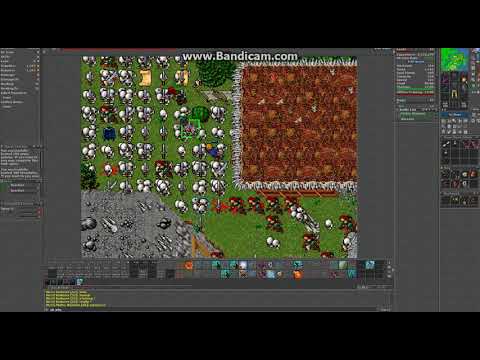 BOTERS IN TIBIA 2019 BELLUMA