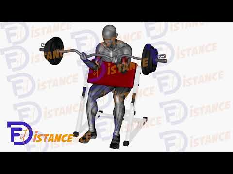 Curl pupitre à la barre EZ (Preacher) - Exercice Curl pupitre à la barre EZ (Preacher) en vidéo