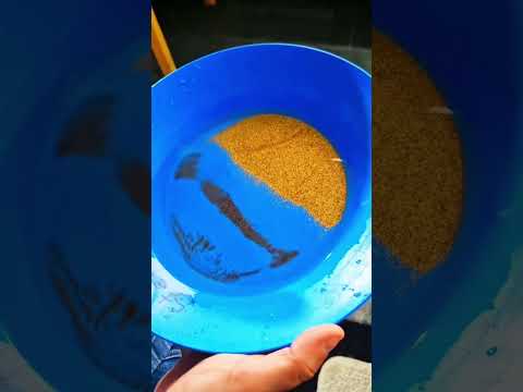 African rock gold mine production line, high production and high efficiency #machine #goldmine