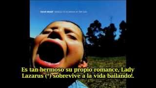 Have Heart No Roses, No Skies (subtitulado español)